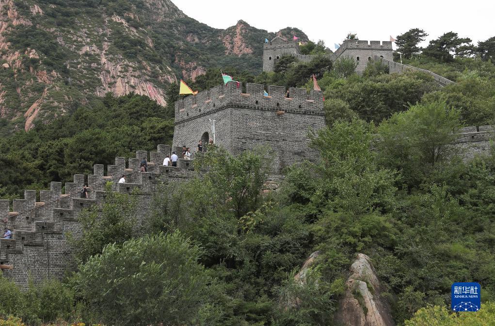 玛丽水果机苹果版